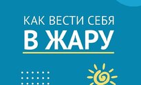 Новости. Как вести себя в жару
