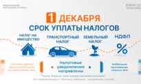 1 декабря - срок уплаты налогов