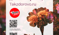 Диспансеризация