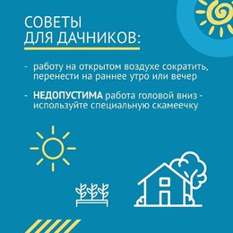 Новости. Как вести себя в жару #6