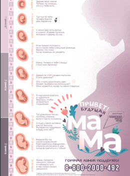 Новости. Беременность #2