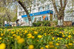 27 апреля 2024 года на территории ГБУЗ СО СГКП 15 прошел субботник по благоустройству территории #12