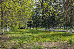 27 апреля 2024 года на территории ГБУЗ СО СГКП 15 прошел субботник по благоустройству территории #13