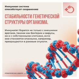  Иммунная система — универсальный защитник человека от бактерий и вирусов, и иных чужеродных тел, и веществ #3