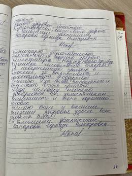 Отзывы и благодарности #93